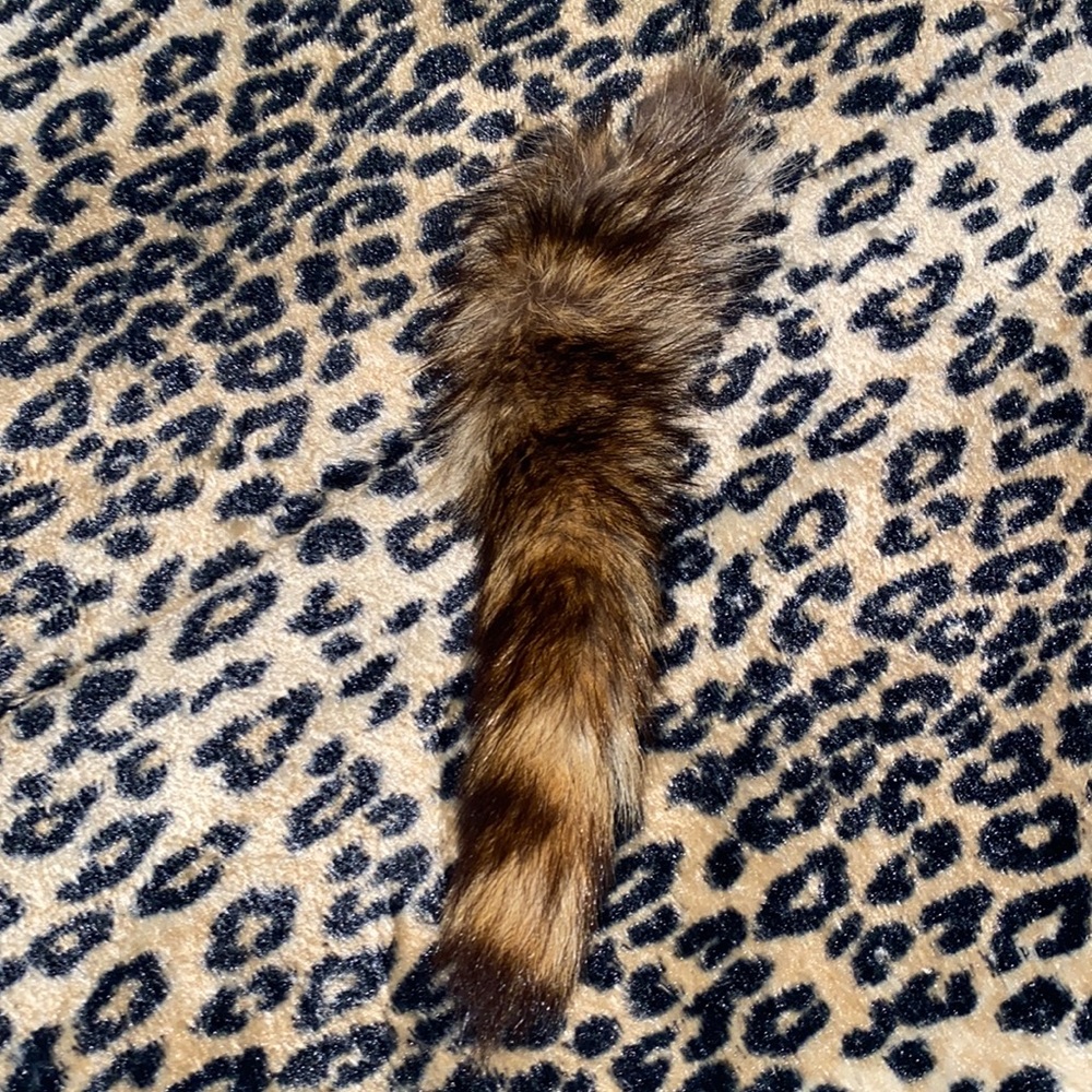 Fashion furry tail